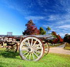 Oaks Ranch  Country Club - Accommodation Newcastle
