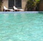 Toreador Motel - Coffs Harbour - Accommodation Newcastle