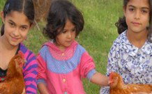 Barrington Tops Organic Retreat - Accommodation Newcastle 2