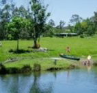 Bellingen Farmstay - Accommodation Newcastle