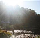 Blair Athol Estate - Accommodation Newcastle