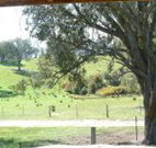 Hosanna Farm Retreat - Accommodation Newcastle