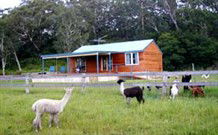 Adelong NSW Accommodation Newcastle