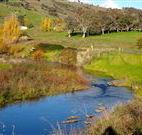 Ralda's Cottage - Accommodation Newcastle