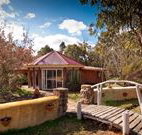 Starline Alpaca Farm Stay - Accommodation Newcastle