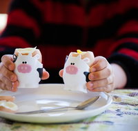 Cosy Cow Farmstay Bed and Breakfast - Accommodation Newcastle