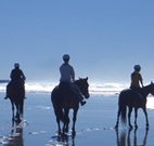 Whispering Brook - Accommodation Newcastle