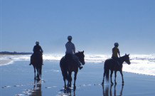 Whispering Brook - Accommodation Newcastle 0