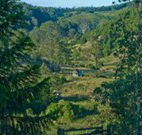 Yarralong BnB and Farm Stay - Accommodation Newcastle