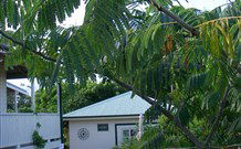 Amore Boutique Bed And Breakfast - Accommodation Newcastle 1