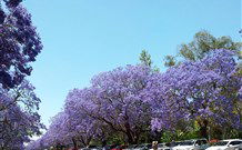 Andavine House Bed And Breakfast - Accommodation Newcastle 5