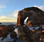 Bellbird Cottage Bed and Breakfast - Accommodation Newcastle