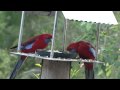 Bower At Broulee - Accommodation Newcastle 1