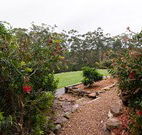 Bushview Cottage - Accommodation Newcastle