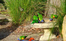 Bushview Cottage - Accommodation Newcastle 5