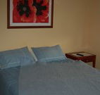 Busy Buzz - Accommodation Newcastle