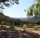 Cedar Grove - - Accommodation Newcastle