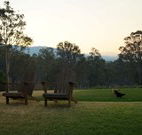 Elfin Hill - Accommodation Newcastle