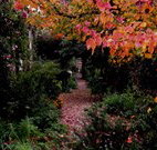 Gulgong B and B - Accommodation Newcastle