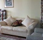 Hillview at Cooma - Accommodation Newcastle