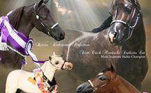 Hunter Valley Macadamia Lodge - Accommodation Newcastle 2