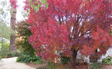 Langford House B&B - Accommodation Newcastle 4