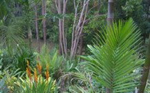 Old Convent River Retreat - Accommodation Newcastle 1