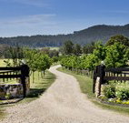 Pemberley Grange Hunter Valley Getaway - Accommodation Newcastle