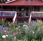 Rose Patch Bed and Breakfast - Accommodation Newcastle
