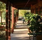 The Vineyard Motel