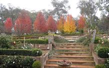 Wejalee Bed And Breakfast - Accommodation Newcastle 2