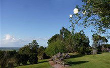 Yellow Dog Cottage - - Accommodation Newcastle 3