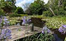 Yellow Dog Cottage - - Accommodation Newcastle 4