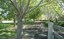 Yellow Dog Cottage - - Accommodation Newcastle 6