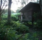 Mount Seaview Resort