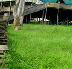 Snowy Valley Resort - Accommodation Newcastle