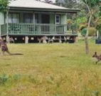 Bewong River Retreat - Accommodation Newcastle