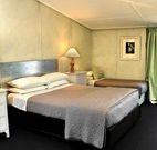 Blenheim Bliss - Accommodation Newcastle
