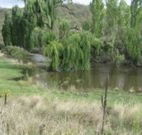 Cedar Grove - Accommodation Newcastle