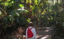 Ecoasis - Accommodation Newcastle 7