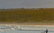 Ecoasis - Accommodation Newcastle 8