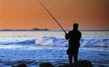 Emma's Cottage Vineyard - Accommodation Newcastle 1