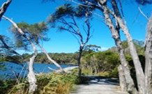 Emma's Cottage Vineyard - Accommodation Newcastle 5