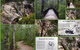 Fossickers Cottages - thumb 7