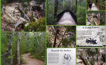 Fossickers Cottages - Accommodation Newcastle 7