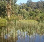 Fosterton Lodge Retreat - Accommodation Newcastle