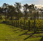 Hidden Treasure - Accommodation Newcastle
