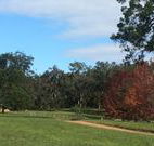 Mulberry Cottage - Accommodation Newcastle