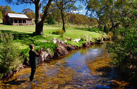 Moonbah Huts - Accommodation Newcastle 7