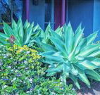 Retreat Homestead - Accommodation Newcastle